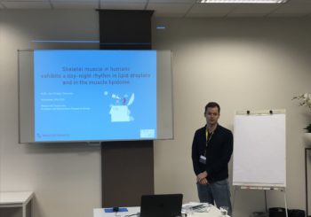 NVDO – Skeletal muscle in humans exhibits a day-night rhythm in lipid droplets and in the muscle lipidome