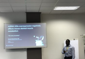 NVDO – MiRNA320a overexpression negatively affects mouse skeletal muscle metabolism