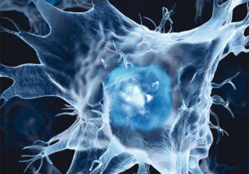 New DMRG publications!