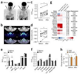 DMRG in Nature Medicine