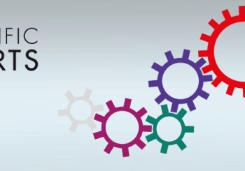 Publication in Scientific Reports