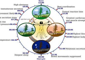 ZonMW TOP grant for DMRG