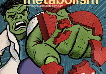 Day-night rhythm study published in Molecular Metabolism