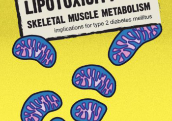 Dissertation Bianca van Bree